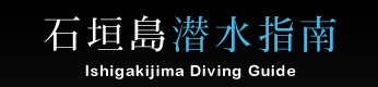 Ishigakijima Diving Guide